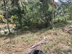 Land for Sale in Kegall Hiriwadunna
