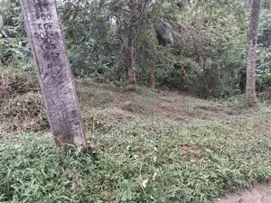 Land for Sale in Kegall Hiriwadunna