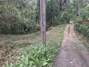 Land for Sale in Kegall Hiriwadunna