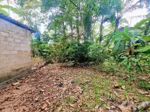 කටුනායක පාරට 100m පදිංචියට ඉඩම