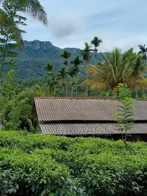 Land Sale in Deniyaya
