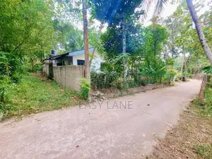කටුනායක පාරට 100m පදිංචියට ඉඩම