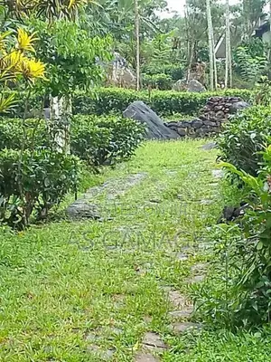 Land Sale in Deniyaya