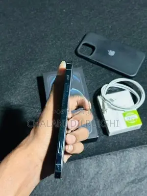 Apple iPhone 12 Pro 256GB (Used)