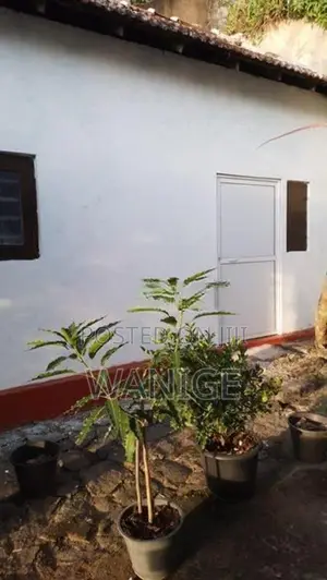 Sharing Rooms For Rent (Male) Galle