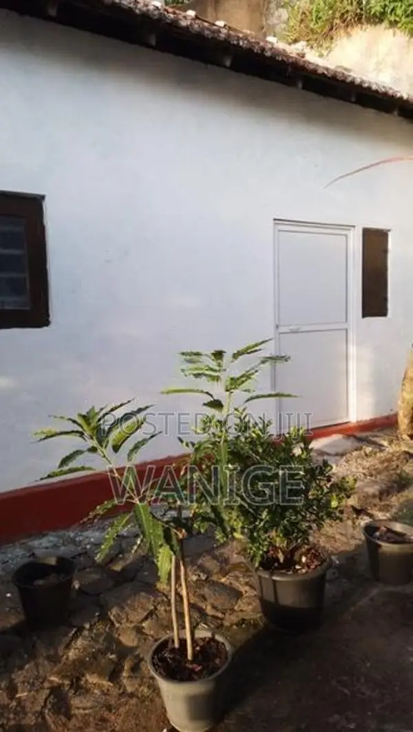 Sharing Rooms For Rent (Male) Galle