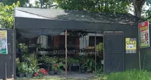 Anthurium Net Green House