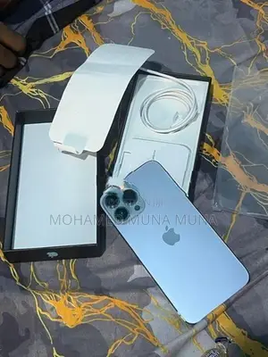 Apple iPhone 13 Pro Max (Used)