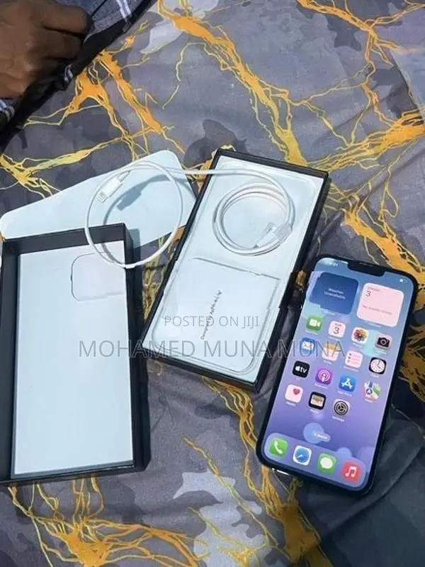 Apple iPhone 13 Pro Max (Used)