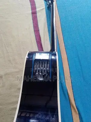 Guitar