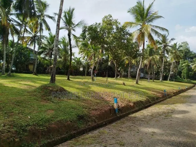 Land In Nittambuwa
