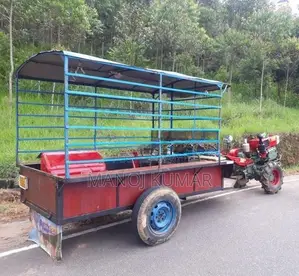 Zongshen ZS295N 2015