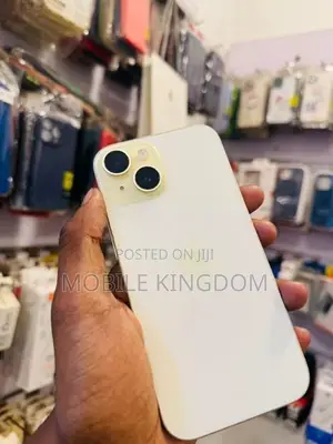 Apple iPhone 15 256GB Fullset Box (Used)