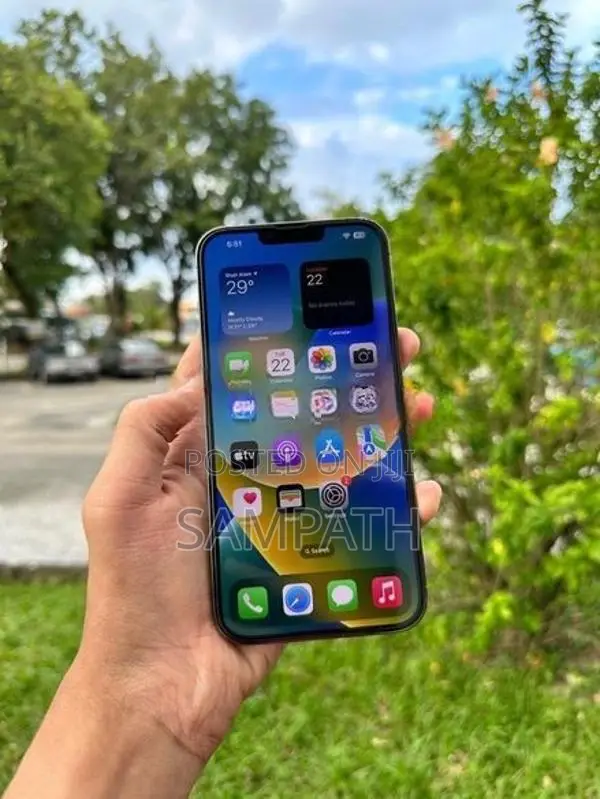 Apple iPhone 13 Pro Max 256GB (Used)