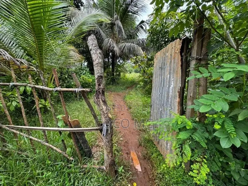 Land with House for Sale | Pavatkulamtown