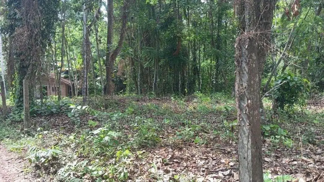 Land for Sale in Minuwangoda