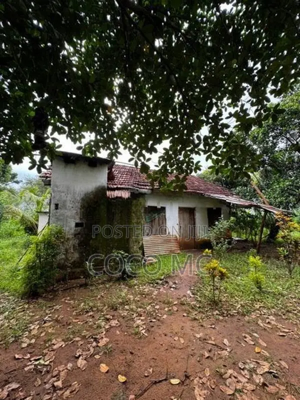 Land with House for Sale | Pavatkulamtown
