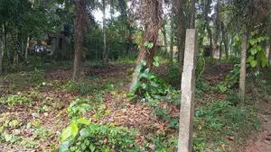 Land for Sale in Minuwangoda