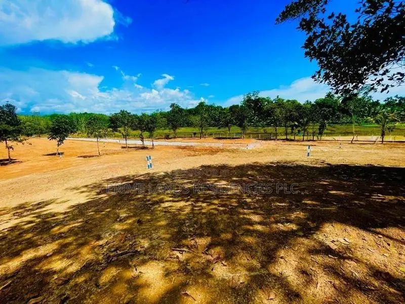 408 ප්‍රධාන බස් පාරට මුහුණ ලා නේවාසික බිම් කොටස්