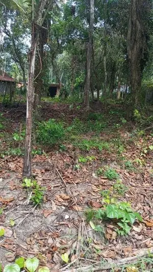 Land for Sale in Minuwangoda