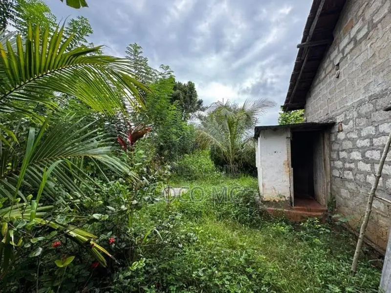Land with House for Sale | Pavatkulamtown