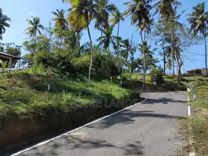 කලුතර නේවාසික බිම් කොටස්