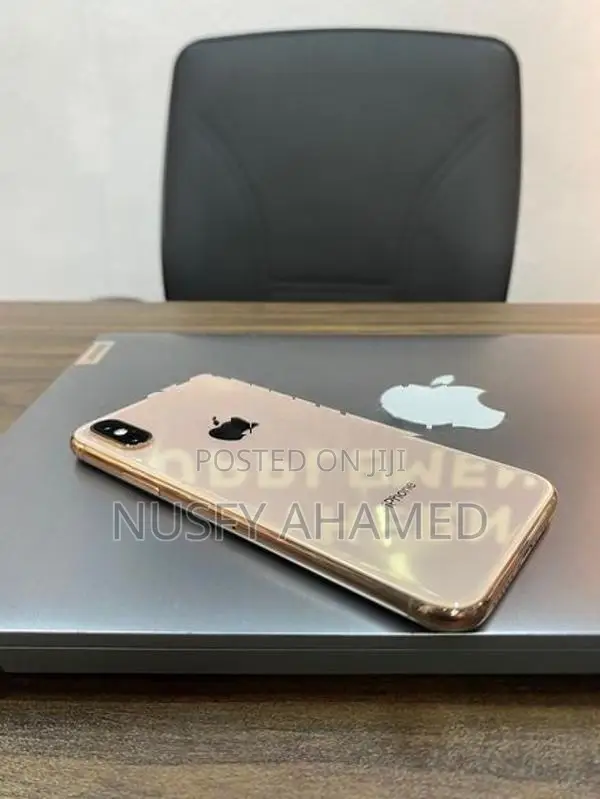 Apple iPhone XS 256GB (Used)