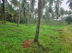 Valuable Square Land for Sale in Kurunegala