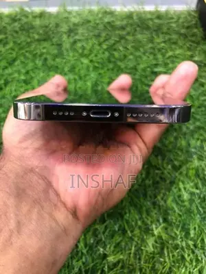 Apple iPhone 12 Pro Max 256GB (Used)