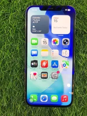 Apple iPhone 12 Pro Max 256GB (Used)