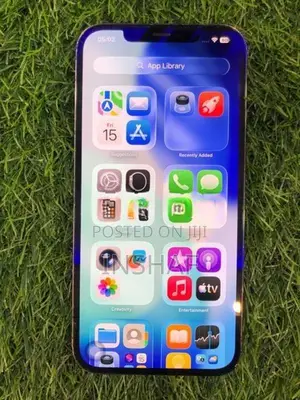 Apple iPhone 12 Pro Max 256GB (Used)