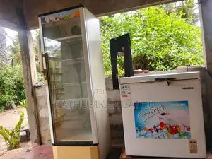 Freezer with Bottle Cooler