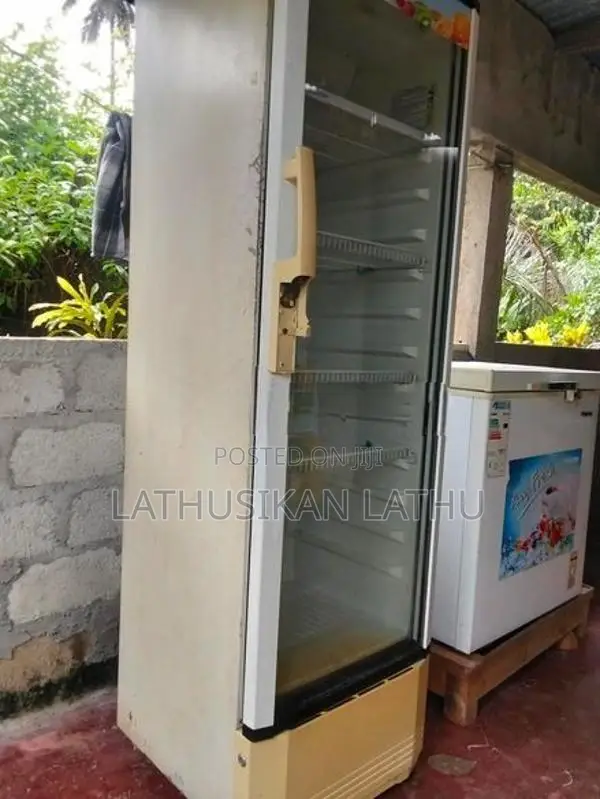 Freezer with Bottle Cooler