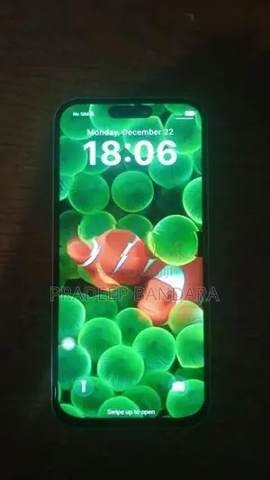 Apple iPhone 17 Pro Max (Used)