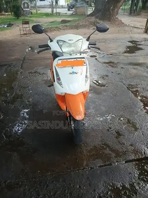 Hero Pleasure 2015