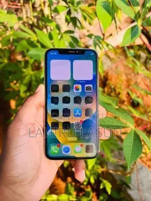 Apple iPhone X 256GB (Used)