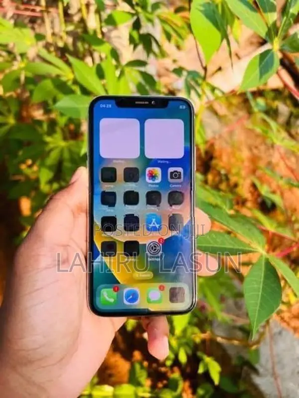 Apple iPhone X 256GB (Used)