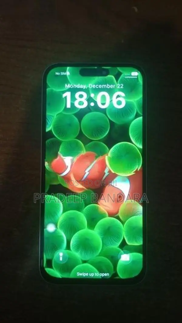 Apple iPhone 17 Pro Max (Used)