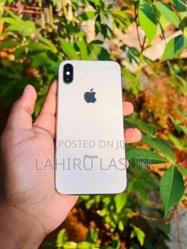 Apple iPhone X 256GB (Used)