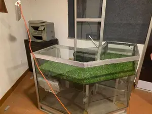 Glass Showcase