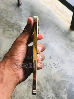 Apple iPhone 13 Pro Max (Used)