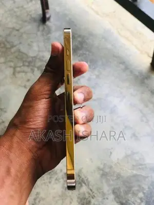 Apple iPhone 13 Pro Max (Used)