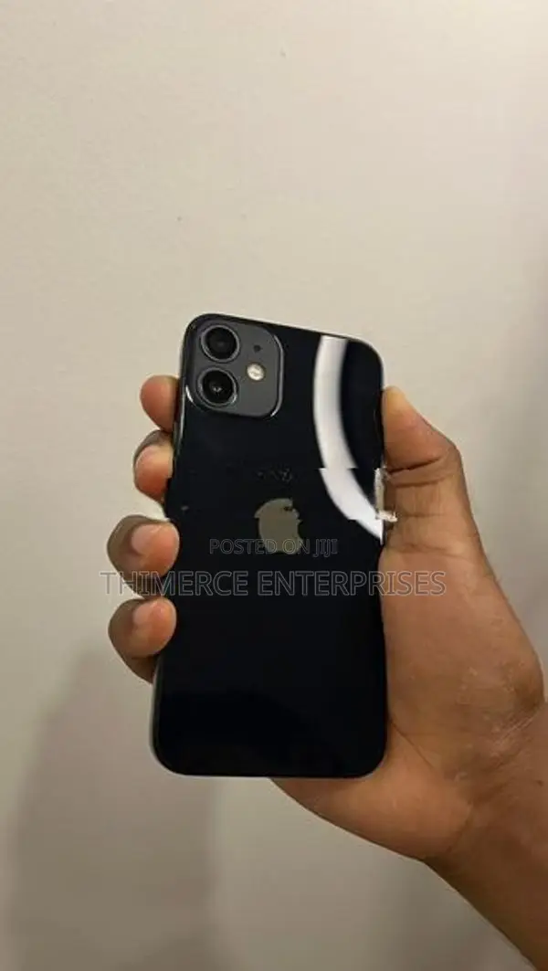 Apple iPhone 12 mini (Used)