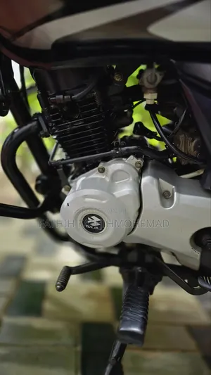 Bajaj Platina 110 ES 2019