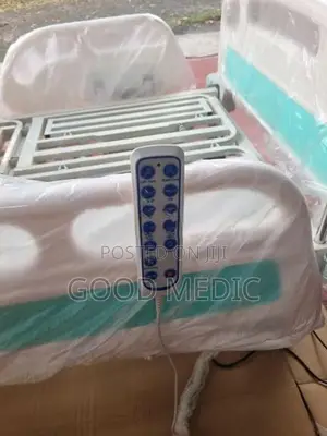 Five Function Electric Beds with Sanitory