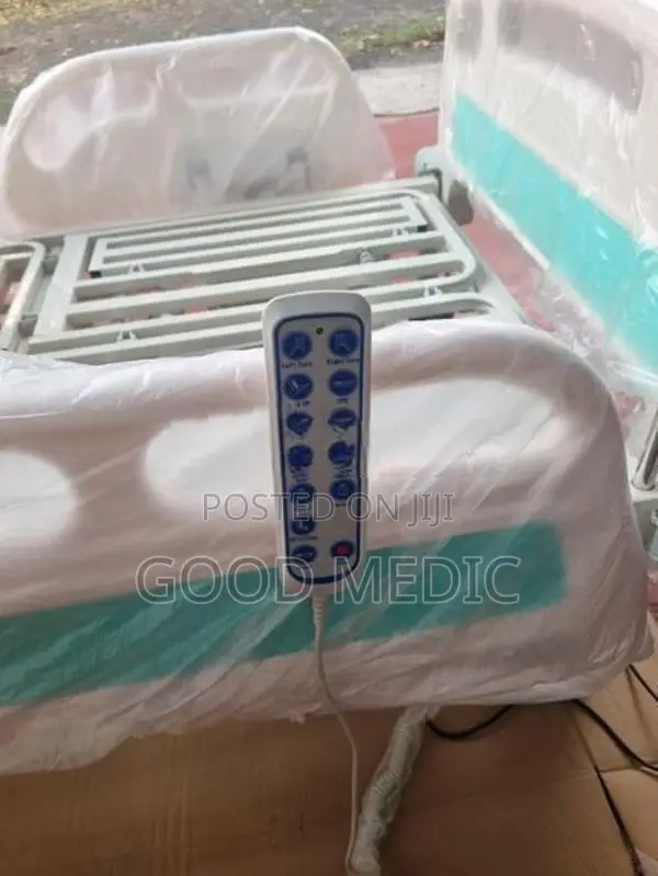 Five Function Electric Beds with Sanitory