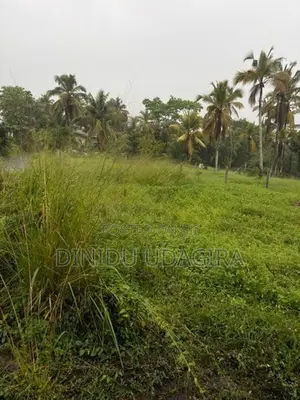 Land Sale මිනුවන්ගොඩ