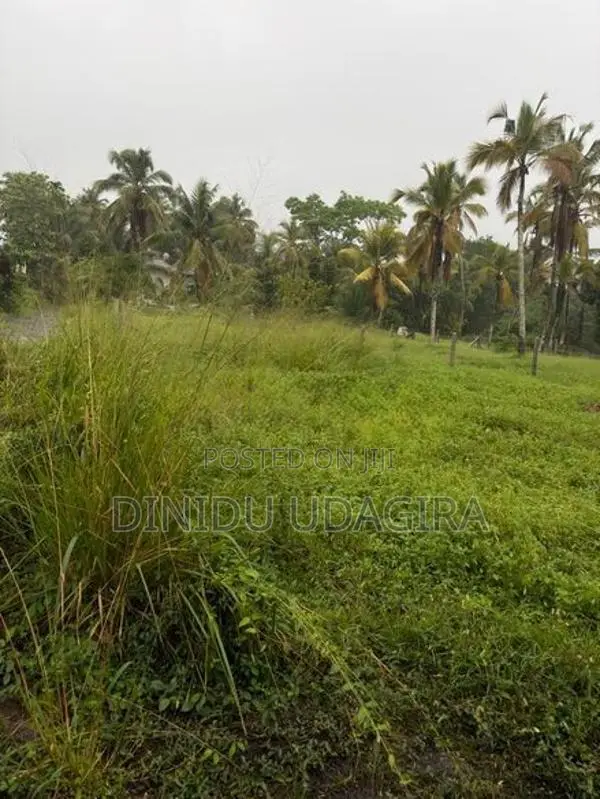 Land Sale මිනුවන්ගොඩ