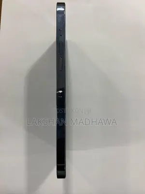 Apple iPhone 13 Pro Max (Used)