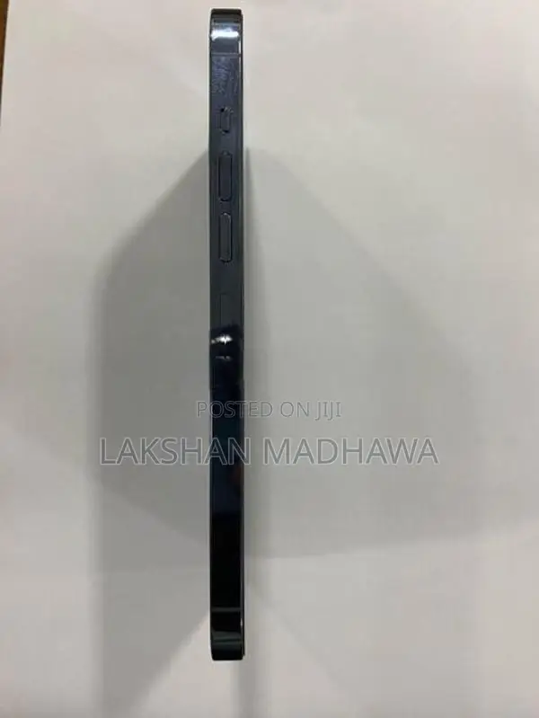 Apple iPhone 13 Pro Max (Used)